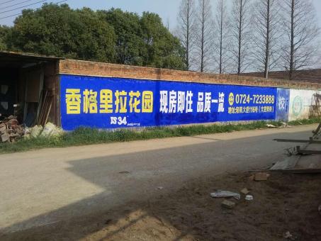 盐亭墙体广告对比传统广告媒介的优势在哪里