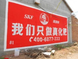 盐亭刷墙广告”蕴含了时代命题