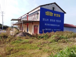 盐亭必须知道的墙体广告形势