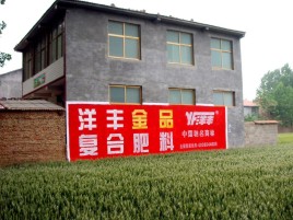 盐亭如何让墙体广告展现最大化效果