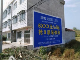 盐亭墙体广告质量分析