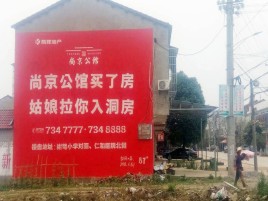 盐亭墙体广告在乡镇、农村市场的媒体优势