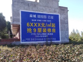 盐亭品牌公司青睐的墙体广告