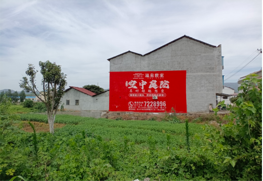 盐亭做墙体广告的意义