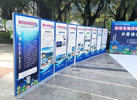 盐亭KT板的种类和知识。